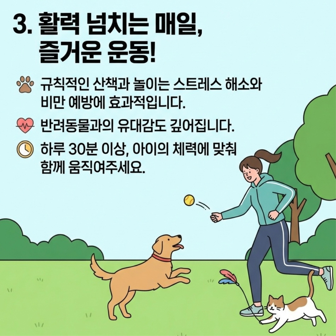 활력 넘치는 매일, 즐거운 운동!
규칙적인 산책과 놀이는 스트레스 해소와 비만 예방에 효과적입니다.
반려동물과의 유대감도 깊어집니다.
하루 30분 이상, 아이의 체력에 맞춰 함께 움직여주세요